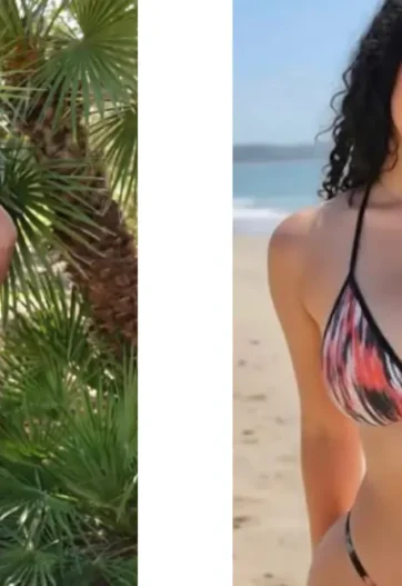Siarlyxo Leaks